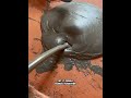 نوع خاص من الاسمنت 1