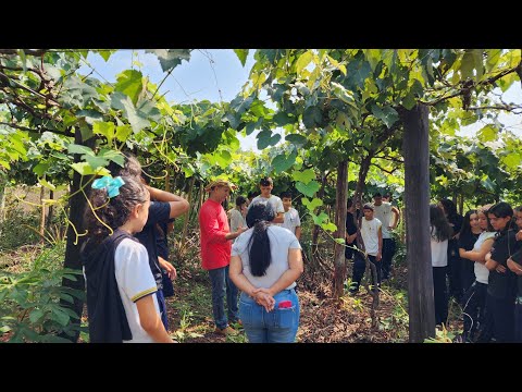 SÍTIO SUSTENTÁVEL, VISITA DOS ALUNOS DA ESCOLA JOAQUIM ANTÔNIO DE OLIVEIRA, DISTRITO DE LAJES.