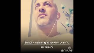 ADEM PALA BULBUL HAVALANMİS DUPER YORUMM