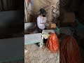 Final stage control. #bamboosticks #bamboovietnam #india #manufacturing#qualitycontrol