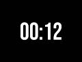 12 Second Timer