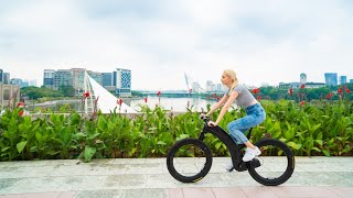 Reevo The Hubless E-Bike