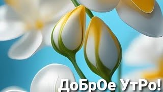 Доброе Утро. Удачи И Везения,Хорошего Настроения.