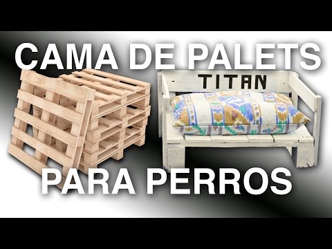 Video: 8 camas de palet bricolaje para perros