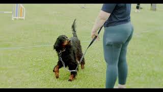 AGILITY ONE FINAL V2