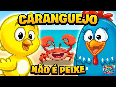 B&M - 🦀Crabs Are Not Fish/Spin Spin Spin | 🐔Lottie Dottie Chicken - Kids Songs