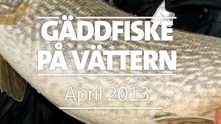 Gäddfiske på Vättern - 10,2 kilos gädda