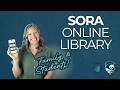 Sora Online Library Intro