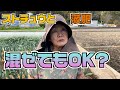 ストチューとMリンPK液を混ぜるのはOKですか？