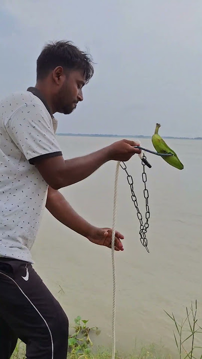 Catching big fish with Epic Banana bait #fishing #bait