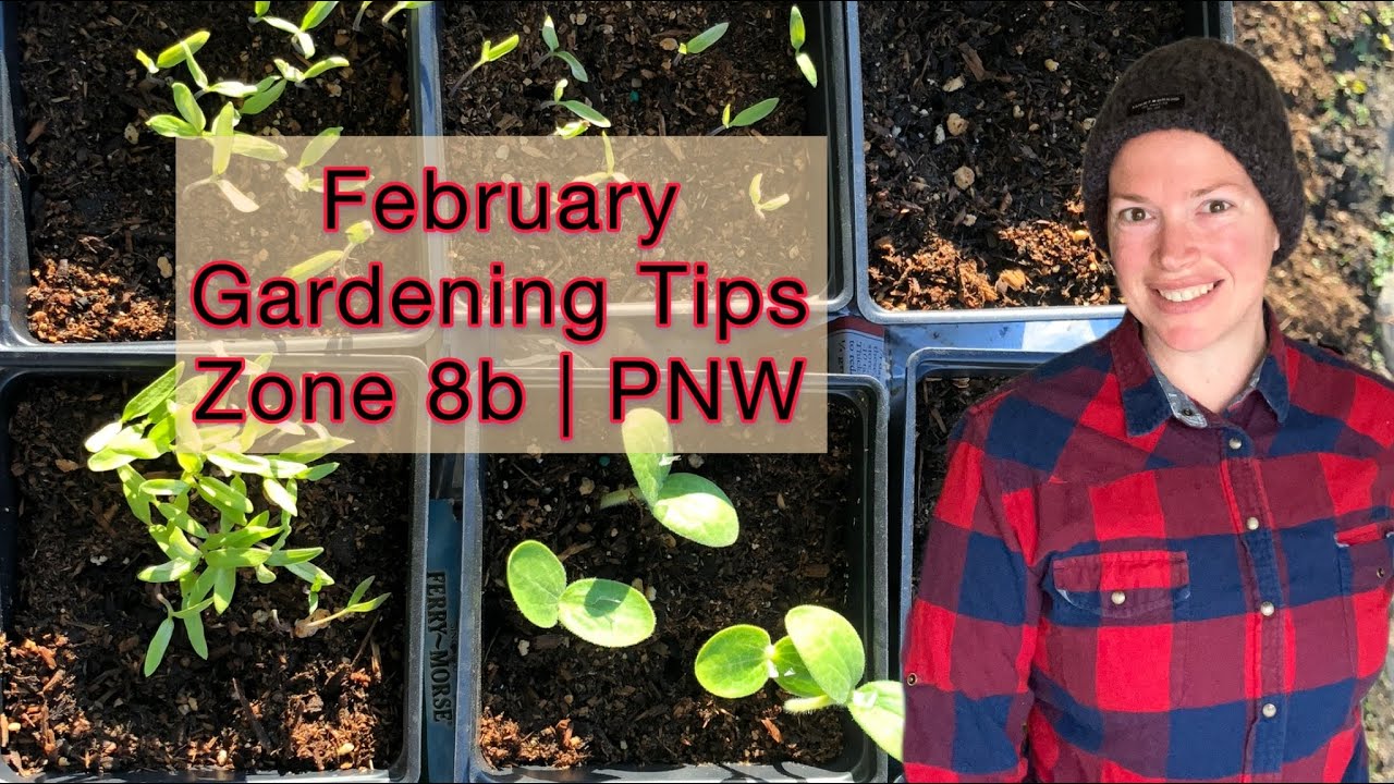 February Gardening Tips/Tasks and Seeds to Start | Zone 8b | PNW - YouTube