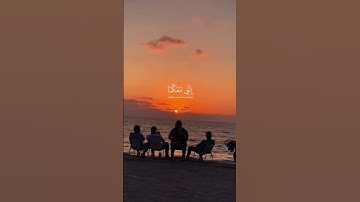 قال لا تخافا                                   #القرآن #القرآن_الكريم #تلاوة_خاشعة #مكة #القدس #غزة
