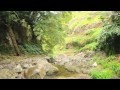 Percurso Pedestre no Parque Natural da Ribeira dos Caldeirões (Nordeste - São Miguel - Açores)