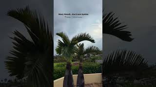 Maui Hurricane Lala Update 7am Sunday in Wailea