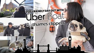 Dog friendly day out in London on Uber Boat by thames clipper