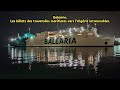 Baleària  Les billets des traversées maritimes vers l’Algérie introuvables