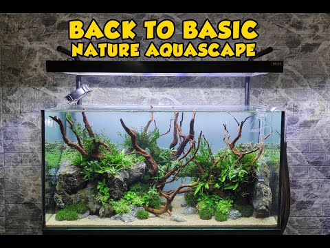 back-to-basic---natural-aquascape-||-aquascaping-tutorial