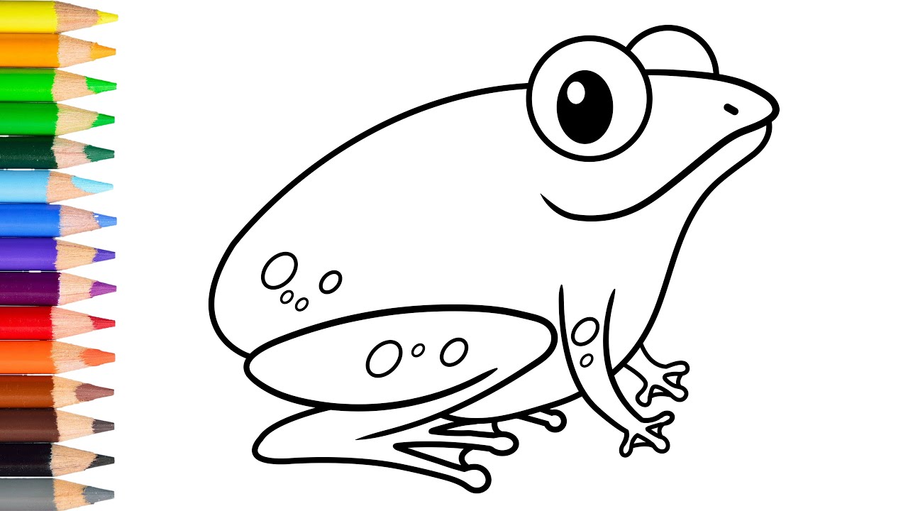 Frog Drawing Easy