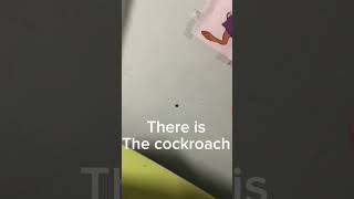 Cockroach Target New Mortein Ad 2023 #shorts