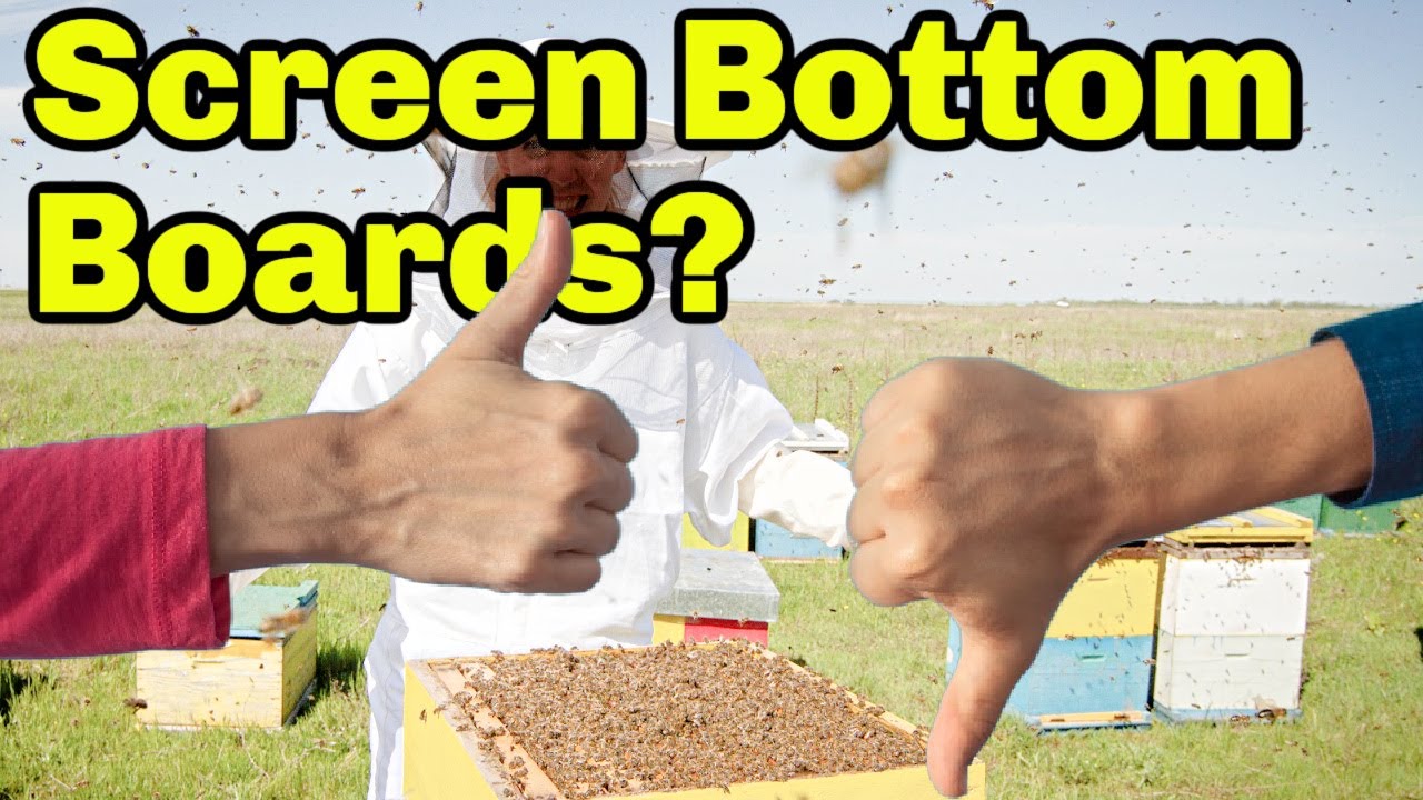 Пчеловодство | Стоит ли использовать доски для сеток или нет? Выпуск 2