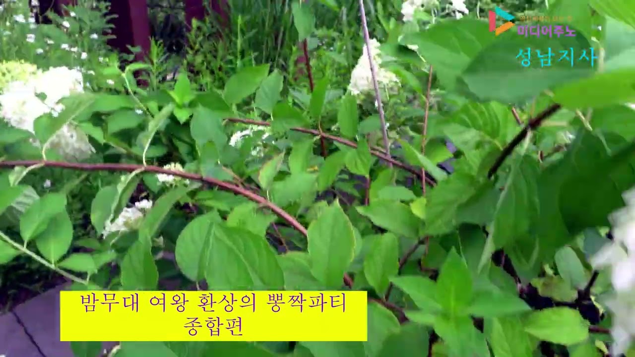 밤무대 여왕 환상의 뽕짝파티 종합편   촬영편집 미디어주노 성남지사 가요트롯tv 홍재종 감독 구독좋아요