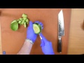 Cut the avocado not your hand