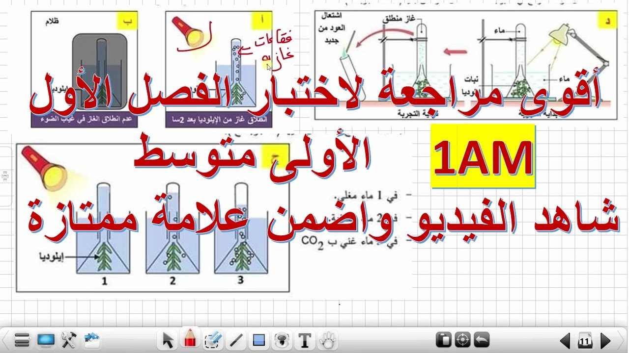 أقوى مراجعة لاختبار الفصل الأول  ملخص شامل لأهم الدروس علوم طبيعية أولى متوسط