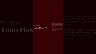 Inner Child's Lotus: A Spiritual Awakening! #shorts