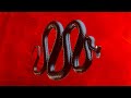 (FREE) Fast Aggressive 808 Rap Beat "DEADLY" | Hard Trap Type Beat | Free Type Beat |