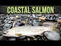 Olympic Peninsula Salmon Fishing | BOBBER DOWN!! | 4K