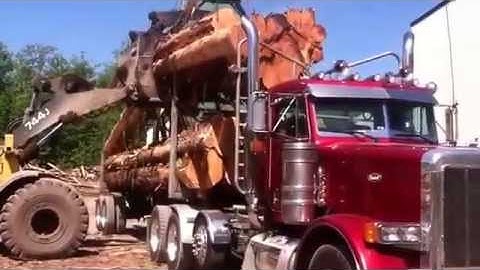 99 Peterbilt unloading logs Bow hill mill Bow Wa . Log truck