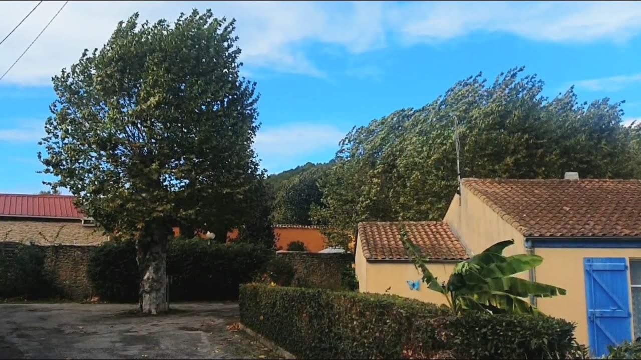 tempête Benjamin du 23/10/2025 département Aude/Occitanie à Ste-Colombe-sur-l'Hers