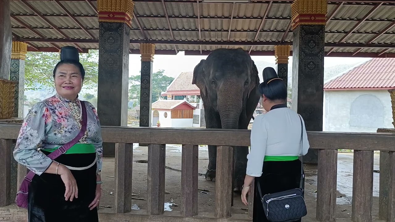 Lương song _ mới pi nong bấng tô trạng nọi áp nặm 