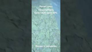 Thcasmallbuds Ferrari runtz celtics420 saves