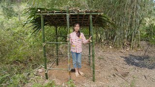 Poor girl. Build a primitive toilet (WC) - Build bamboo toilet - Green forest life