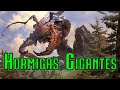 HORMIGAS GIGANTES|Criptozoologia