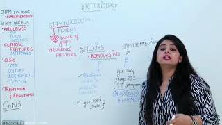 Dr. Preeti Sharma discussing Staphylococcus in Microbiology | Free Video # 6 screenshot 1