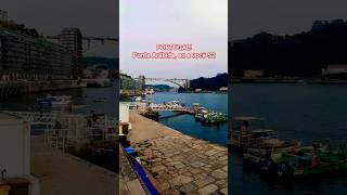 Ponte da Arrábida: A gigante que abraça o D'ouro! Eu e você em Porto, Portugal! #engenharia #travel