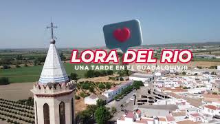 VIDEO DE LA VEGA DEL GUADALQUIVIR