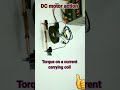 DC motor action || Torque on current carrying coil || science project #diy #homemade #shorts