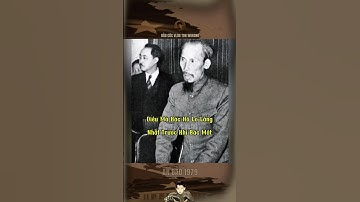 ĐIỀU BÁC HỒ LO LẮNG NHẤT TRƯỚC KHI BÁC MẤT… #bảocóc #bảocócvlog #baococvlogboss #shorts #bacho #xh