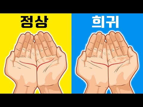 5초만에 알아보는 미래의 배우자 운세 [손금테스트]