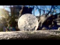 frozen bubbles in calgary
