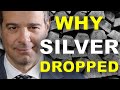 Why Silver Dropped | Andy Schectman