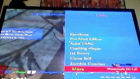 K Brizzle waw mod menu [ZOMBIES]