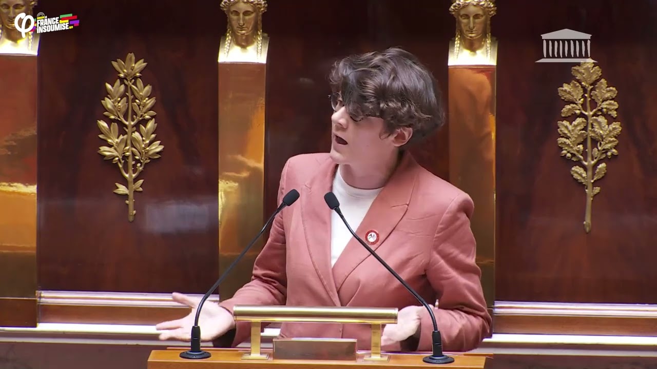 Le RN, ce parti de délinquants ! - Gabrielle Cathala