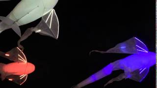 Le Bal des Luminéoles by Christophe Martine | #IstanbulLightFestival