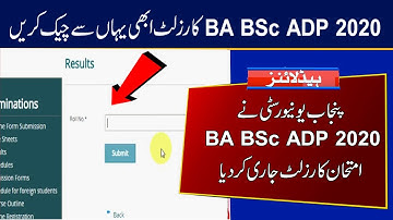 PU Announced BA BSc ADP Part 1 and 2 Annual Exams 2020 Result | How to Check Punjab University Exams