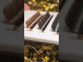 Три новых оттенка коричневых ресниц от LSP