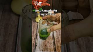 Dengue Fever Remedy ytshorts dengueremedy remedyfordengue papayaleafextract curefordengue care